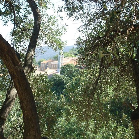 Costa Di Sognu Villa Екстериор снимка