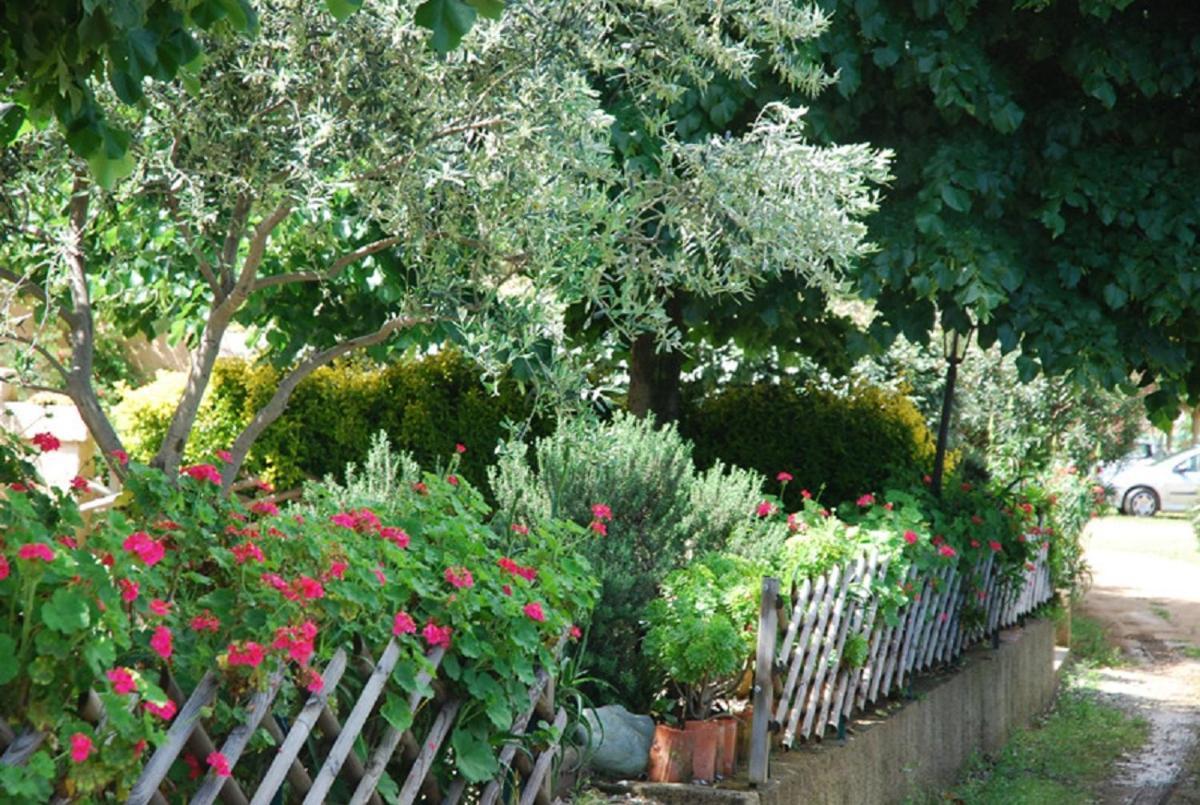 Costa Di Sognu Villa Екстериор снимка