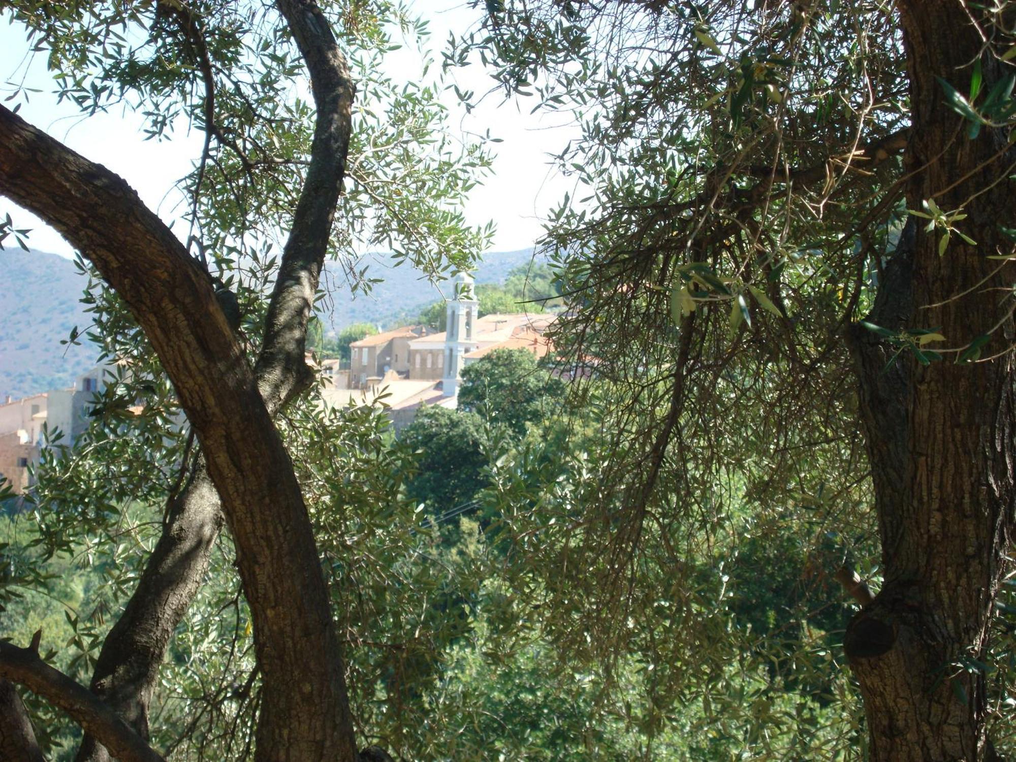 Costa Di Sognu Villa Екстериор снимка