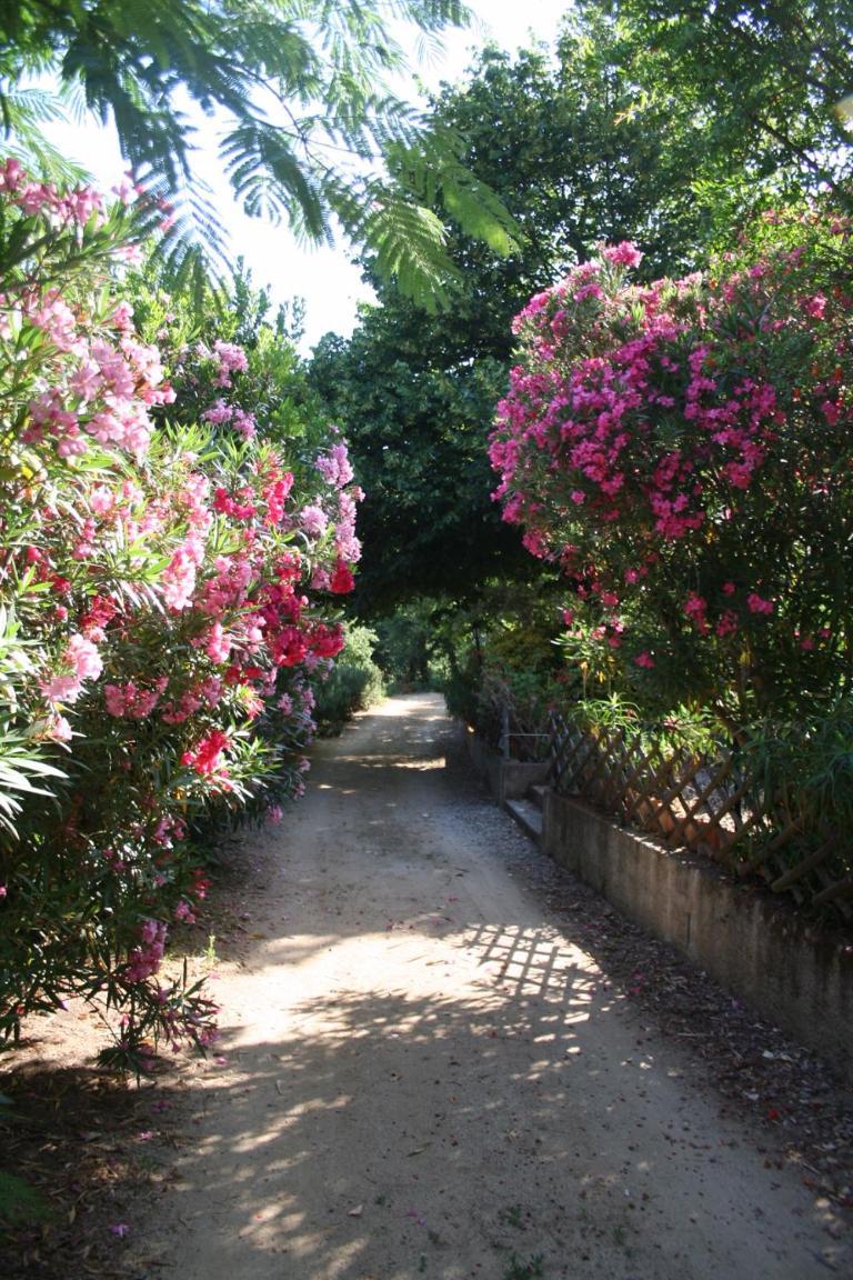 Costa Di Sognu Villa Екстериор снимка