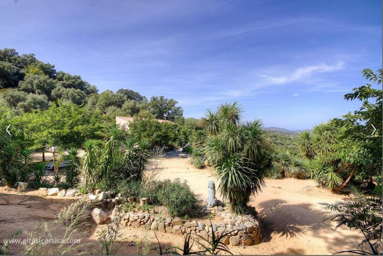 Costa Di Sognu Villa Екстериор снимка